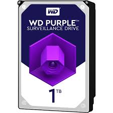 H.D.D 1TB purple